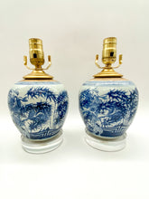Load image into Gallery viewer, ginger jar lamps, ginger jar, blue &amp; white, blue &amp; celadon, acrylic base, petit, petit lamp, tropical pattern, tropical art, Chinese antique, Asian antique, oriental