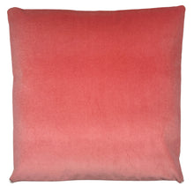 Load image into Gallery viewer, Margot 22&quot; x 22&quot; Blush/Coral Pillow