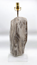 Load image into Gallery viewer, Polished Fossilized Wood Lamp