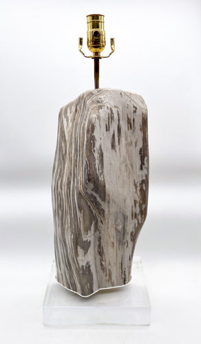 Polished Fossilized Wood Lamp