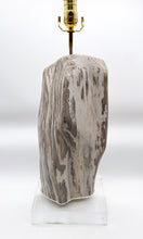 Load image into Gallery viewer, Polished Fossilized Wood Lamp