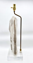 Load image into Gallery viewer, Polished Fossilized Wood Lamp