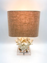 Load image into Gallery viewer, Wayfarer Coral Lamp