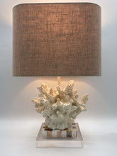 Load image into Gallery viewer, Wayfarer Coral Lamp